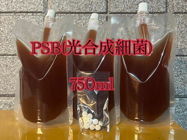 PSB(光合成細菌) 750ml 培養酵母10錠付【送料無料】15