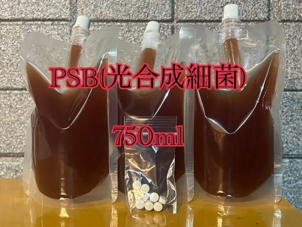 PSB(光合成細菌) 750ml 培養酵母10錠付【送料無料】16