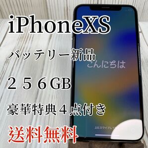 iPhoneXs 256GB 充電器 iPhoneケース付き Apple