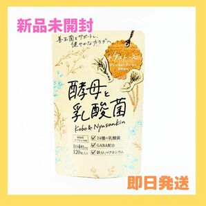 オタサポ 乳酸菌 サプリ 120粒 30日分 1袋 GABA 鉄分 乳酸菌