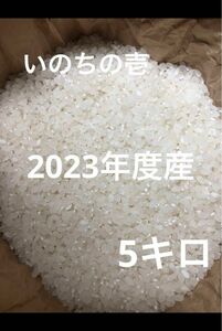 信州産　いのちの壱　うるち米　5キロ 長野県北信濃 龍の瞳 長野県北信濃