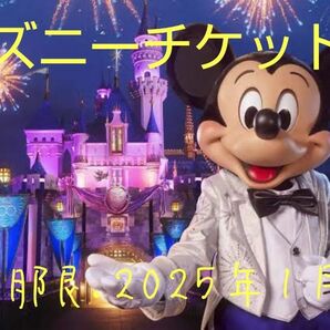  ディズニーチケット　ペア2枚