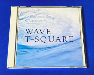 ＷＡＶＥ／Ｔ−ＳＱＵＡＲＥＴ−ＳＱＵＡＲＥ／ＴＨＥ ＳＱＵＡＲＥ