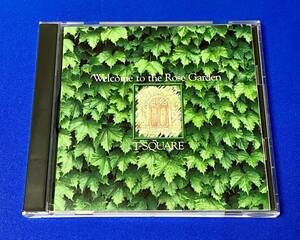 T-SQUARE / Welcome to the Rose Garden T-スクェア