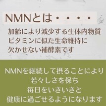 在庫処分　最終値下げ　賞味期限年内　NMNサプリ　NMNPLATINUM 　_画像4