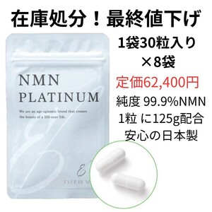 在庫処分　最終値下げ　賞味期限年内　NMNサプリ　NMNPLATINUM
