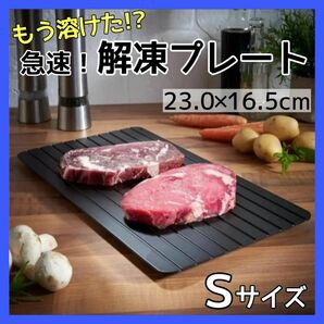 急速 解凍プレート 肉 魚 冷凍 冷却 節約 解凍皿 自然解凍 時短 便利グッズ キッチン用品 急速解凍 エコ