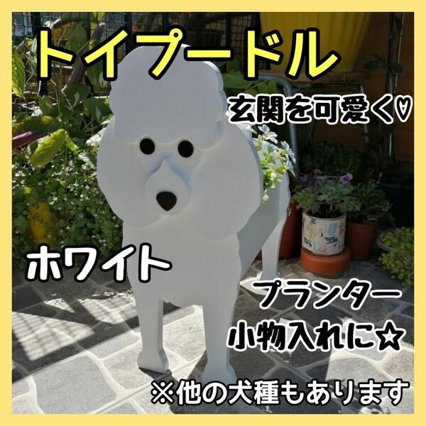 【訳あり】トイプードル 白 ペット プランター ガーデニング 雑貨 収納 鉢植え 犬
