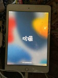 iPad mini 4. byソフトバンク