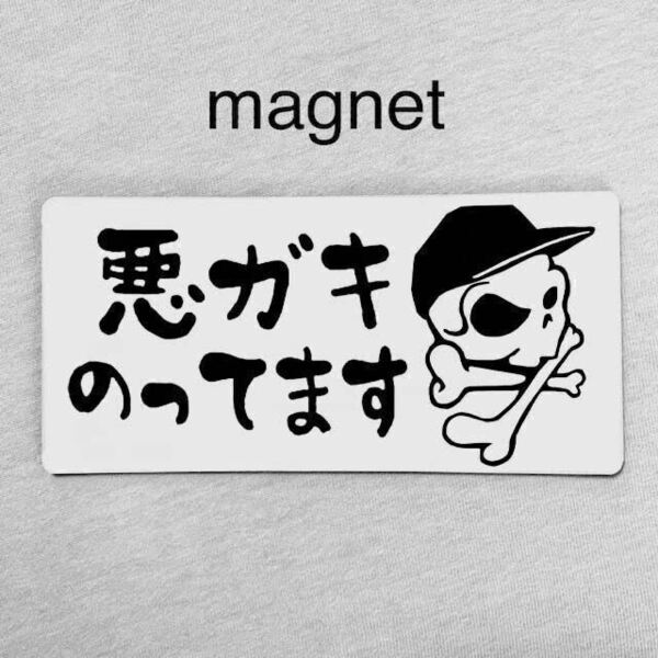 マグネット/ベビーインカー キッズ 防水 スカル No.19 DAベビーステッカー