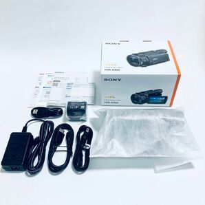 SONY ソニー FDR-AX60 デジタル 4K ビデオカメラレコーダー