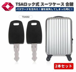 TSA002 ユニバーサル マスターキー 合鍵 スーツケース キャリーケース バッグ 鍵 TSA ロックキー 旅行 トラベル 手荷物検査 2本セット Z182