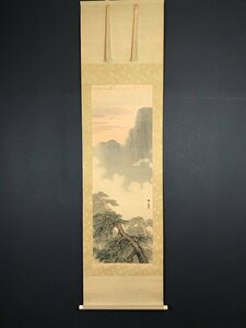 Art hand Auction [Kopie][Ein Licht] vg8711 Kiefernbaum von Yamamoto Shunkyo, studierte bei Nomura Bunkyo und Mori Kansai, Maruyama-Schule, gebürtig aus Shiga, Malerei, Japanische Malerei, Blumen und Vögel, Tierwelt