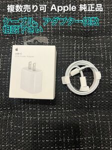 ※限定値下げ　iPhone 充電器　20W USB-C ACアダプターLightningケーブル　iPad 【Apple 純正】