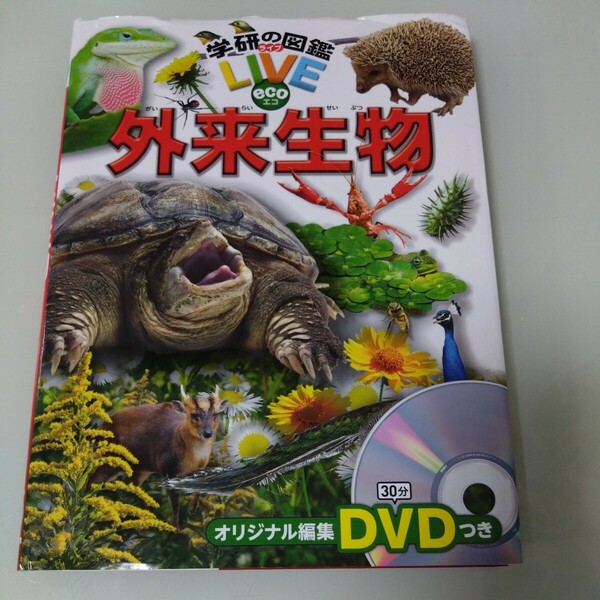 学研の図鑑LIVE eco 外来生物　DVD付き 児童書・絵本・学習　エコ　ライブ