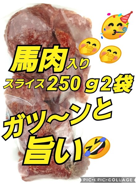 山形の味★おいしい山形 宮内ハム 訳あり 馬肉入スライス 250ｇ×2 サラミ ドライソーセージ てんこ盛り アウトレット 端っこ 馬肉