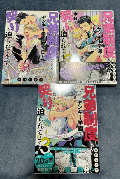 兄弟制度のあるヤンキー学園で、今日も契りを迫られてます