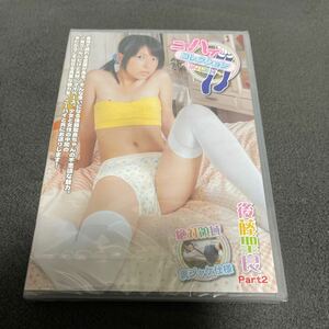 後藤聖良 DVD ニーハイコレクション 絶対領域 Part 2 新品 レア アイマックス