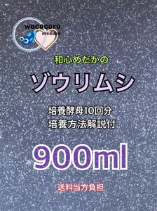 和心めだか★こだわりのゾウリムシ種水900ml★送料当方負担♪めだかの針子・幼魚・ミジンコなどのに最適