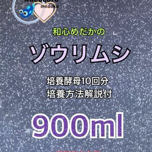 和めだか★こだわりのゾウリムシ種水900ml★送料当方負担♪めだかの針子・幼魚・ミジンコなどのに最適