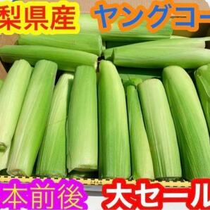 A49朝採り　山梨県産　ヤングコーン、ベビーコーン　25本前後　とうもろこし