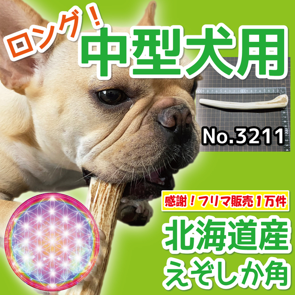 ■ 中型犬用 ■ ロングタイプ1本 ■ 天然 北海道産 蝦夷鹿の角 ■ 犬のおもちゃ ■ 無添加 エゾシカ ツノ 鹿の角 犬 32112