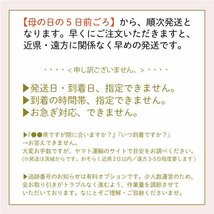 2024の最新品種★金賞農家直送！【2】「ティーパーティー」大ぶり母の日カーネーション★5号鉢【送料無料】_画像5