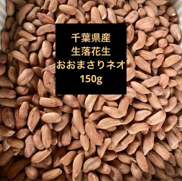 千葉県産　生落花生おおまさりネオ150g