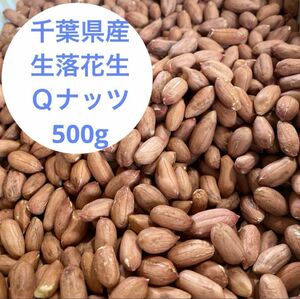 千葉県産生落花生Ｑナッツ　500g