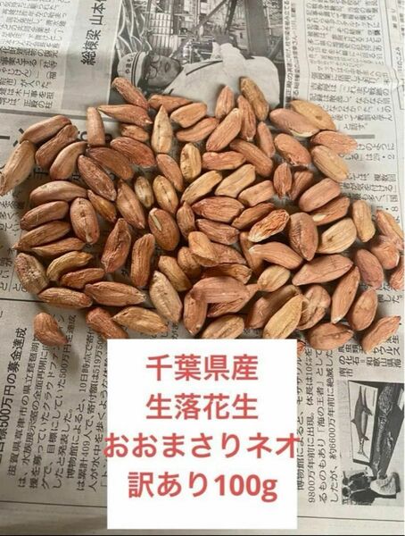 千葉県産　生落花生おおまさりネオ訳あり100g