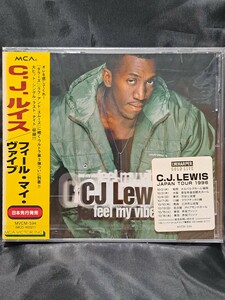 C.J. Lewis/Feel My Vibe(フィール・マイ・バイブ)