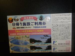 【普通郵便送料無料】藤田観光　日帰り施設ご利用券　2枚セット　～2024/9/30　１枚につき２名まで無料　ユネッサン、下田海中水族館