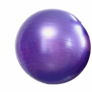 バランスボール 65㎝ パープル 健康 ストレッチ フィットネス ヨガ 腰痛 体幹の画像3