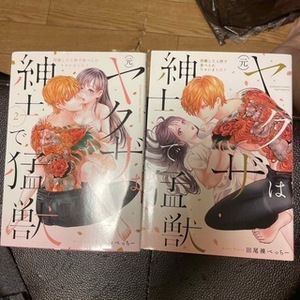 （元）ヤクザは紳士で猛獣　同棲したら　２ （ＢＵＮＫＡＳＨＡ　ＣＯＭＩＣＳ　Ｓ・ｇｉ） 田尾裸　べっちー　著