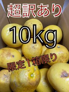 超訳あり土佐文旦　 10kg