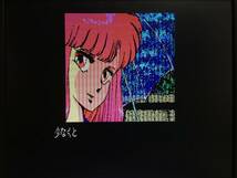 日本テレネット　夢幻戦士ヴァリス　横スクロールアクション決定版　PC-8801版（5インチFD2枚　パッケージ、説明書。起動確認済）送料込み_画像9