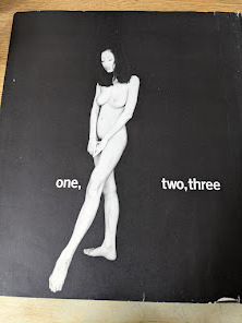 写真集★ 高岡早紀 one,two,three 1995年 初版 撮影・篠山紀信 ぶんか社 カバーキズダメージ有