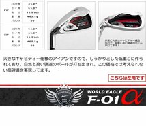 プロ推薦！ワールドイーグル F-01セット ゴルフバッグなし 左利き用/フレックスR[34218]_画像10