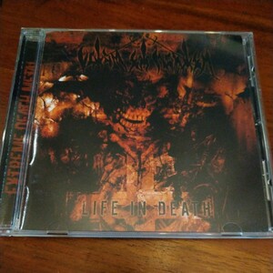 VITAM ET MORTEM Life In Death デスメタル DEATH METAL morbid angel hate eternal cannibal corpse malevolent creation exmortis nile