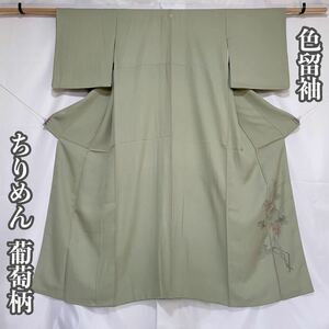 【Wellriver】 色留袖 ちりめん 縮緬 型染め 葡萄 八掛に柄 一つ紋 正絹 和装 和服 着物 #C925. 