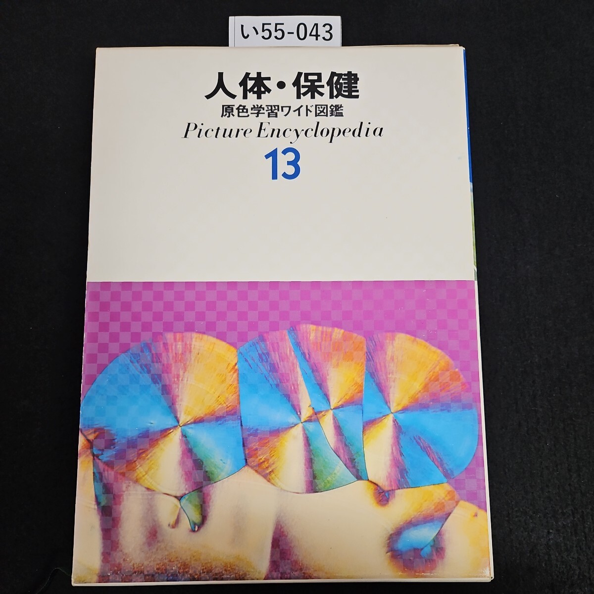2025年最新】Yahoo!オークション -原色学習ワイド図鑑の中古品・新品・未使用品一覧 2025年最新】Yahoo!オークション -原色学習ワイド図鑑の中古品・新品・未使用品一覧