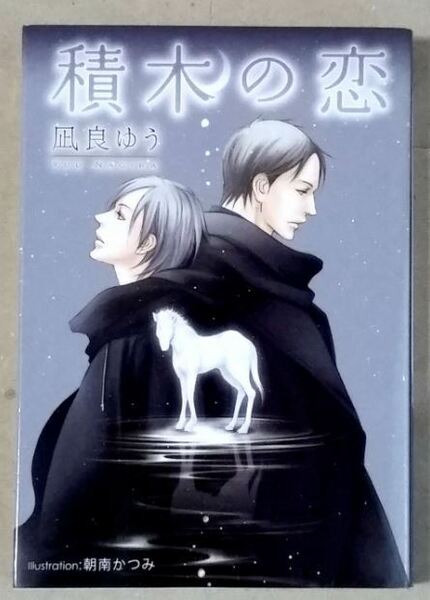 積木の恋 凪良ゆう 朝南かつみ プラチナ文庫 小説 BL ★ 即決 美品 中古本 LVDBL