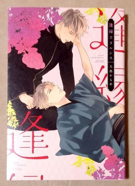 逢縁カタルシス 大島かもめ コアマガジン drap 1巻完結 BL ★ 即決 美品 中古本 漫画 LVDBL