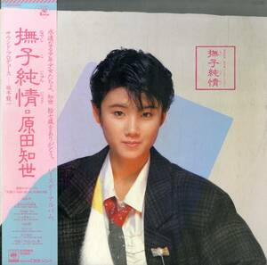 A00572145/LP/原田知世「撫子純情 (1984年・18AH-2002・坂本龍一プロデュース・大貫妙子・林哲司作曲・エクスペリメンタル・シンセポップ