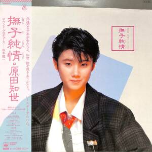 A00564564/LP/原田知世「撫子純情 (1984年・18AH-2002・坂本龍一プロデュース・大貫妙子・林哲司作曲・エクスペリメンタル・シンセポップ