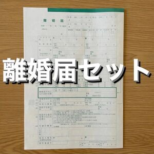 離婚届セット『匿名配送』『24時間以内発送』『PayPayフリマ最安値』