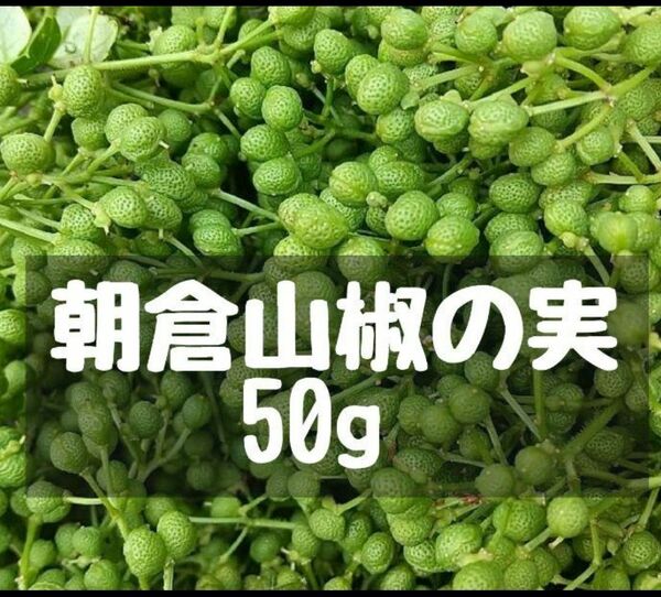 大分県産　朝倉山椒の実　50g 実山椒　青山椒