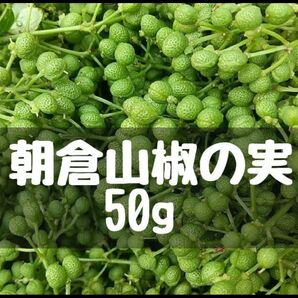 大分県産　朝倉山椒　50g 青山椒　実山椒