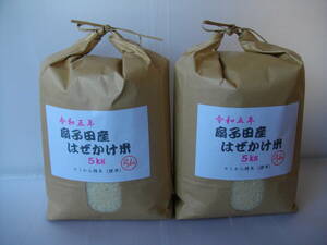 精米選択可能 扇子田産 自然乾燥 はぜかけ米 コシヒカリ ５ｋｇｘ２袋