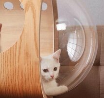 高品質/ キャットハウス キャットベッド 猫用ハウス ペット用品 天然木 ナチュラル 庭用 小動物ケージ_画像6